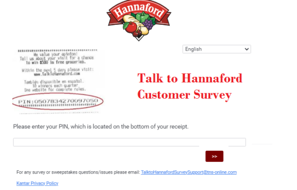 TalktoHannaFord Survey